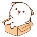 📦