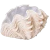 🐚