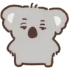 🐨