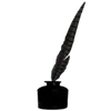 🪶