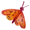 🦋