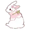 🐰
