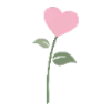 🌷