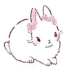 🐰