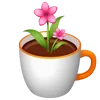 🌺