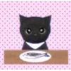 🐱