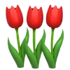 🌷