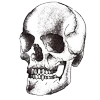 💀