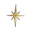 🌟