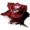 🥀