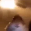 🪱