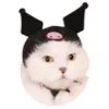 😹