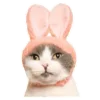 😹