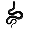 🐍