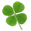 ☘️
