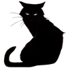 🐈‍⬛