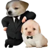 😎