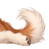 🐶