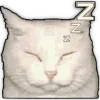 🐈