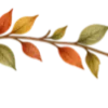 🍂