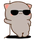 😎