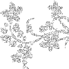 🪽