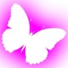 🦋