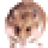 🐹