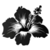 🌺