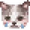 🐱