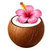 🥥