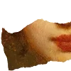 🖼️