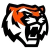 🐯