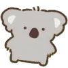 🐨