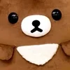 🌟