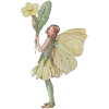 🧚