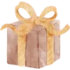 🎁