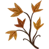 🍂