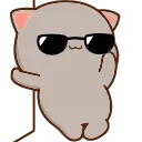 😎