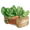 🌱