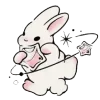 🐰