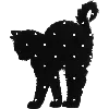 🐈