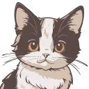 😺
