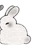 🐰