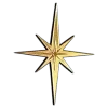 🌟