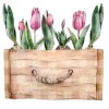 🌷