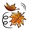 🍁