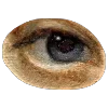 👁