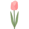 🌷