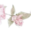 🌸